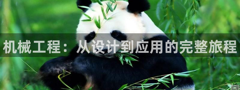 琳琅科技娱乐机器