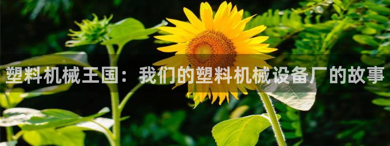 琳琅科技娱乐QQ机器人