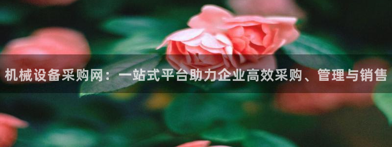 杭州琳琅互动娱乐