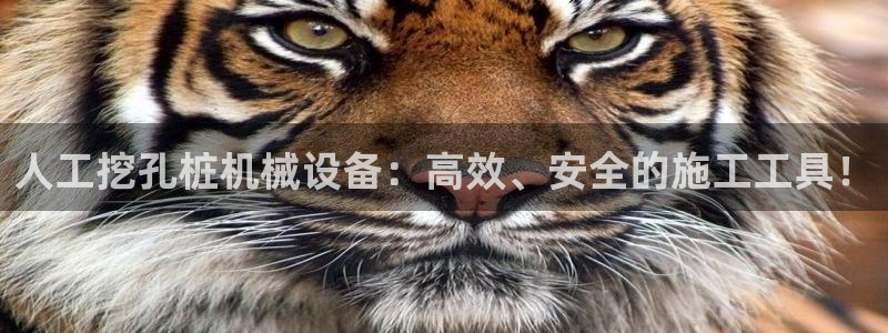 琳琅娱乐怎么样
