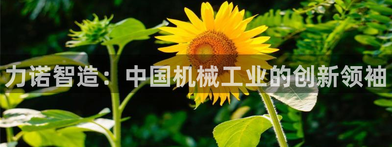 娱乐从琳琅榜开始笔趣阁