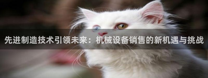 琳琅娱乐是什么