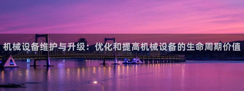 琳琅娱乐 全麦优质