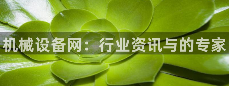 琳琅娱乐工作室怎么样啊