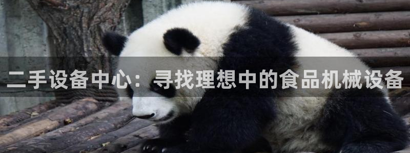 琳琅娱乐工作室怎么样