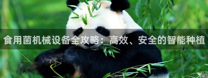 琳琅娱乐平台怎么样知乎