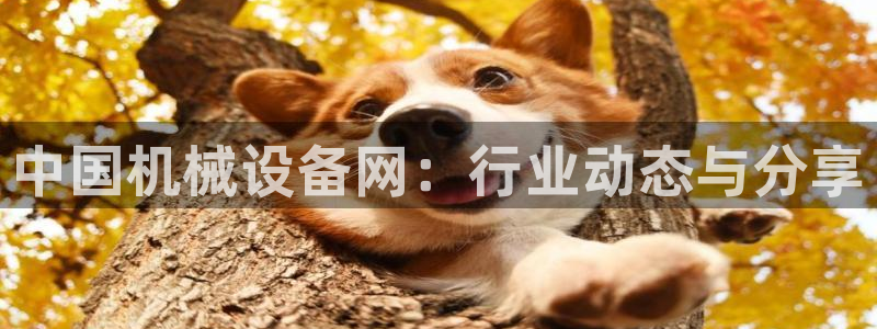 琳琅娱乐温柔乡网站