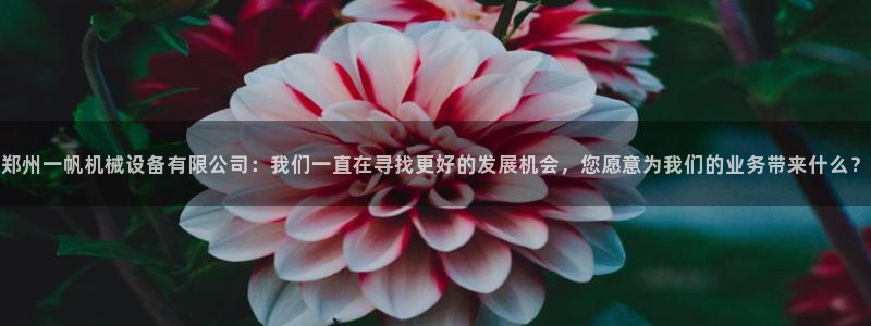 琳琅娱乐平台怎么样