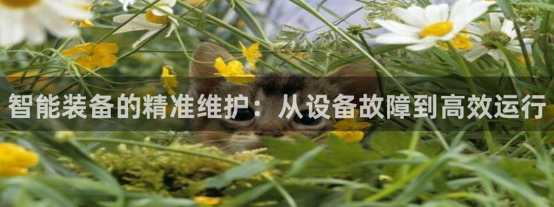 琳琅娱乐除7O777