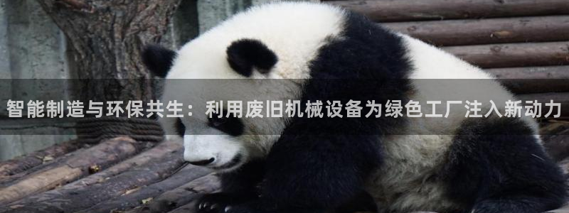 琳琅娱乐代理人是谁