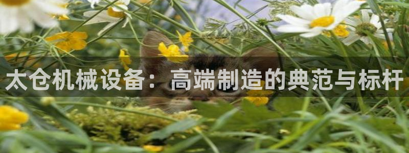 梧州琳琅娱乐城