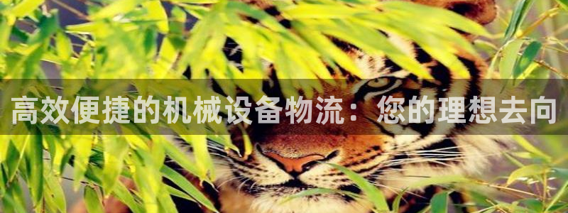 琳琅娱乐主管是谁