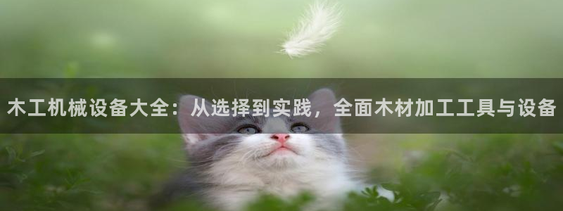 琳琅娱乐机器人