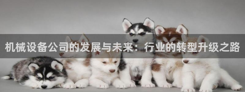 琳琅娱乐温柔乡网站