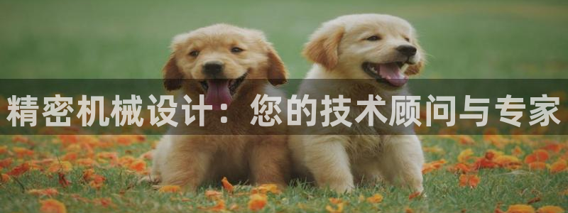 琳琅娱乐工作室招聘条件