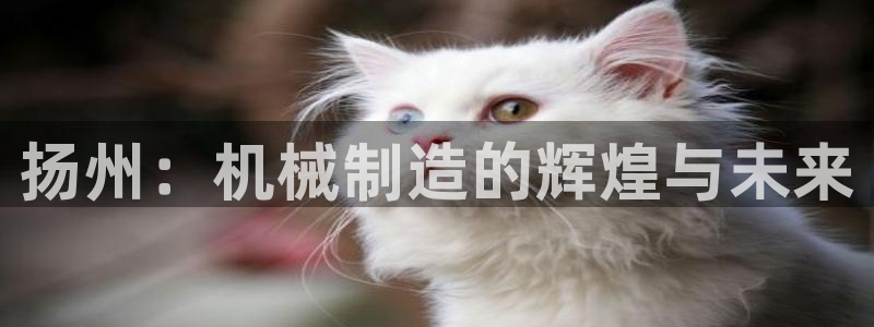 琅琳琅娱乐舍区