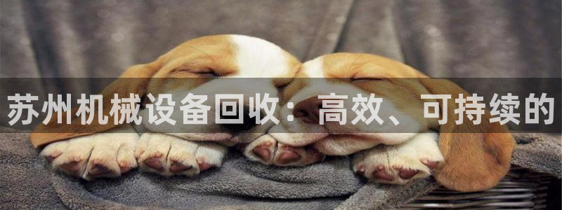 琳琅娱乐登入官网