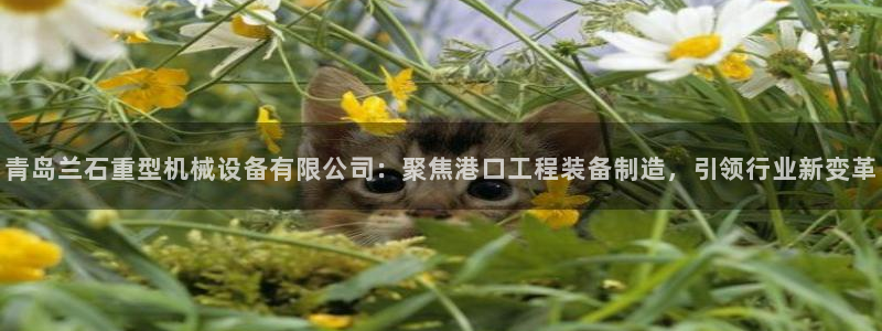 qq琳琅科技娱乐机器人