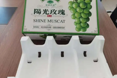 葡萄泡沫包装